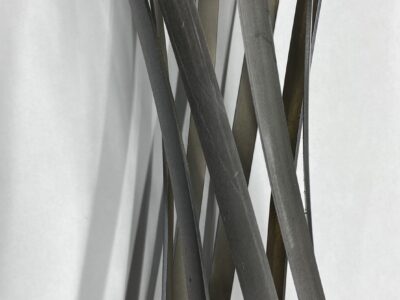 s__100540423_0
